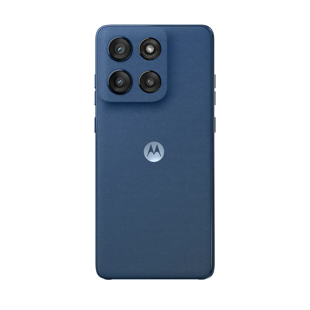 Back View